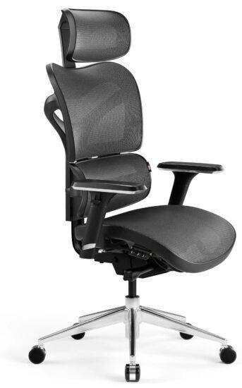 Kancelárska ergonomická stolička DIABLO V-COMMANDER : čierno-šedá  Diablochairs